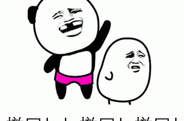 豆瓣9.5《舞蹈风暴》带来精彩的舞技，和滚烫的人生，入股不亏