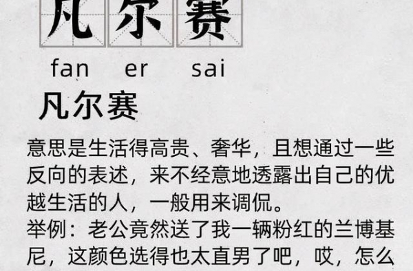 档全是精英的节目，真的不是“凡尔赛”训练营吗？