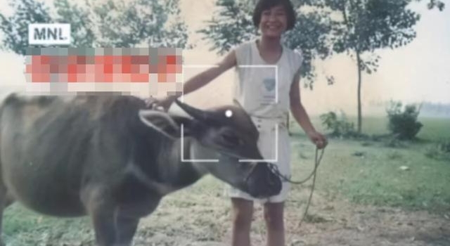 贾玲是如何成名的？
