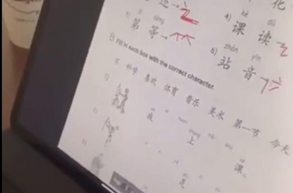 张柏芝陪儿子学中文，母子互动超温馨，课本内容曝光引热议