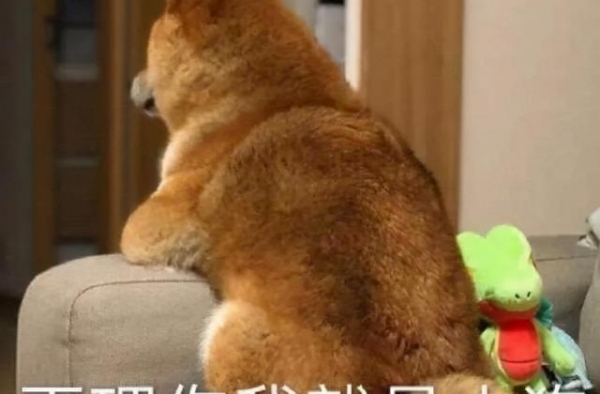 刘德华：下辈子我还会选择朱丽倩