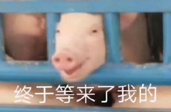 别再吹张一山演技了行不，看看这都拍得什么玩意儿