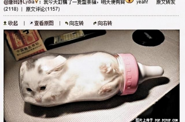 把小猫塞进婴儿奶瓶，唐贝诗拍照炫耀！郑裕玲：无脑