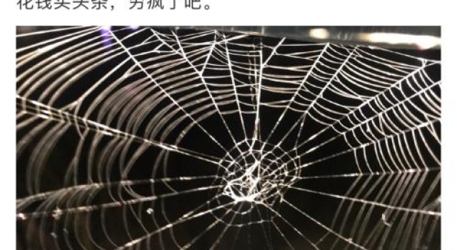 知名歌手怒怼新浪微博：穷疯了吧
