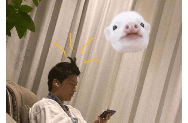 何超莲晒窦骁睡衣照，给他p猪头，追男友电视剧被剧透太抓狂
