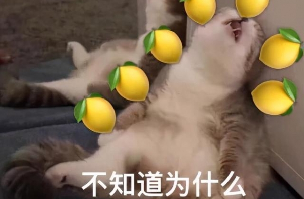 论装x，谁能赢得了他？