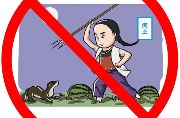 复仇虐恋的烂梗狗血剧竟刷爆全网，电视剧杀猪盘套路你中招了么？