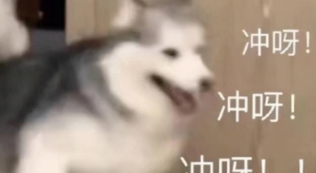 《追光吧哥哥》靠油腻出圈，中年男团简直是“人间油物”