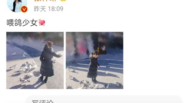 张梓琳晒女儿喂鸽近照，才4岁就腿长逆天，已有“小模特”架势