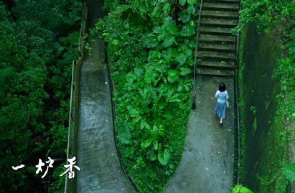 许鞍华电影“北上”启示录