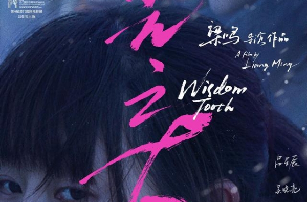 导演梁鸣：因为爱电影所以坚持，《日光之下》是很纯粹的创作