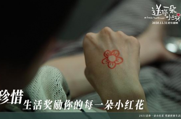《送你一朵小红花》票房口碑惊人 不止是催泪而已