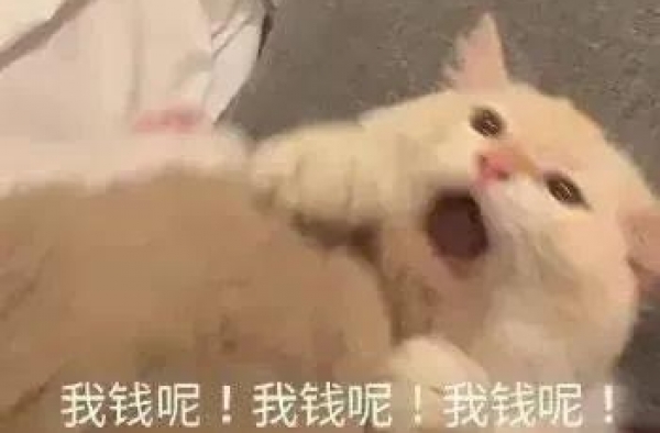 关晓彤再爆体态问题？假胯宽？