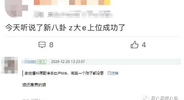 顶级网红张大奕的上位史——一个总裁夫人都撕不动的女人