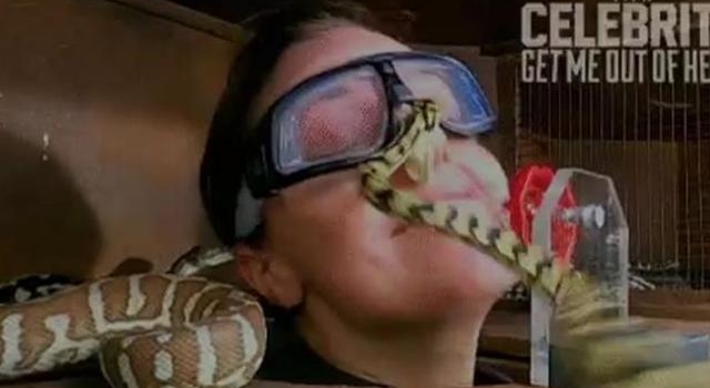 知名女星录节目被关蟒蛇箱，当场被咬满脸血，工作人员一旁看热闹