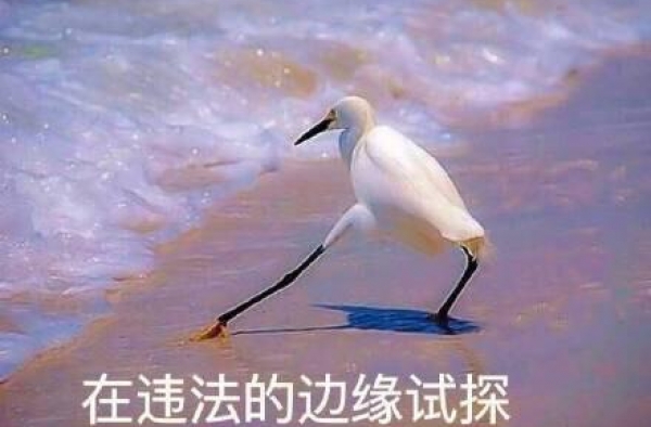 郑爽代孕弃养风波：钻法律空子，这绝不是无辜