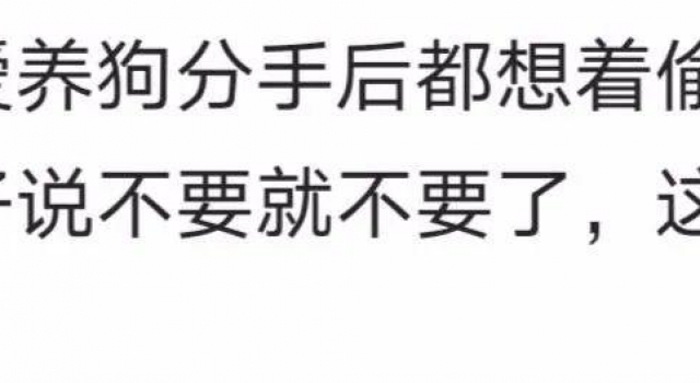 全世界都在吃瓜，只有她在执着于为自己反黑……