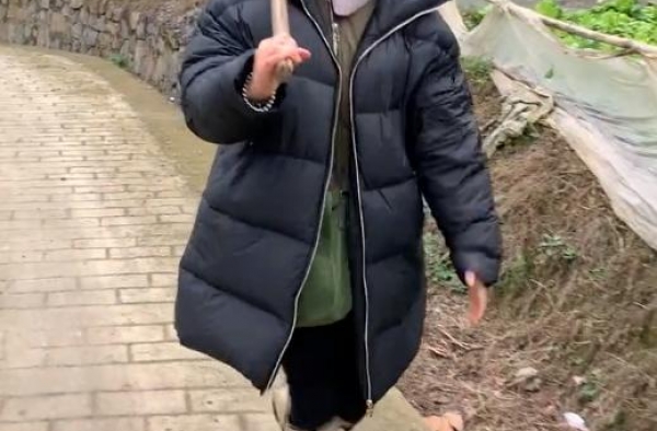 48岁宁静下乡干农活，肩扛锄头身背布包，却因一个细节被批作秀
