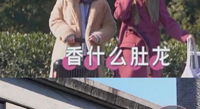 容祖儿在线翻译霍汶希的港普 网友：是我没想到的