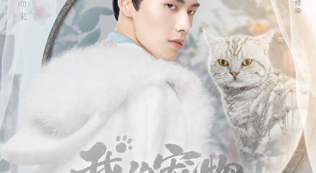 古装与二次元任意切换，《我的宠物少将军》上演甜蜜“主仆恋”